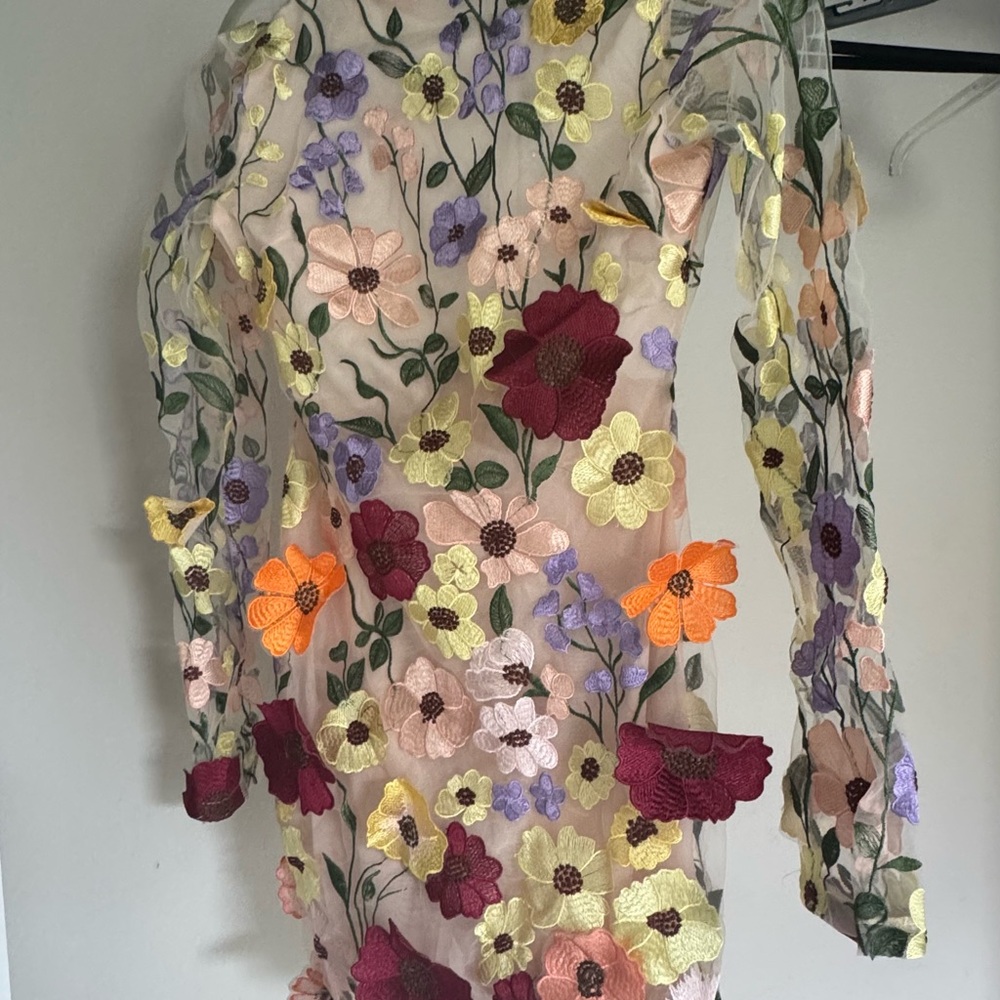 Floral Embroidered Mini Dress